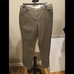 Dalia Collection, 10 petite dressy pants